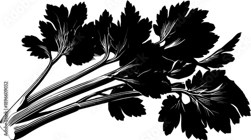 A monochrome illustration of fresh celery, with detailed stems and vibrant leaves against a white background