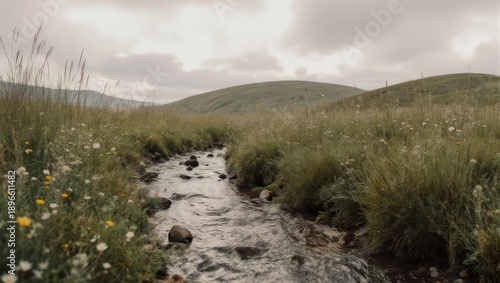 Scenic stream flows through grassy meadow under cloudy sky.