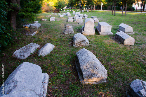 Medieval stecci tombstones arranged in historical cemetery, representing ancient stone monuments, cultural heritage, medieval history, archaeology, and traditional burial sites.