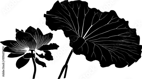 A silhouette illustration of a lotus flower and a large leaf against a white background
