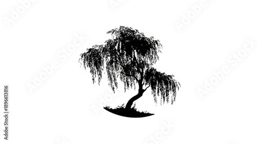 A stark, silhouetted representation of a weeping tree with draping branches on a bright white background