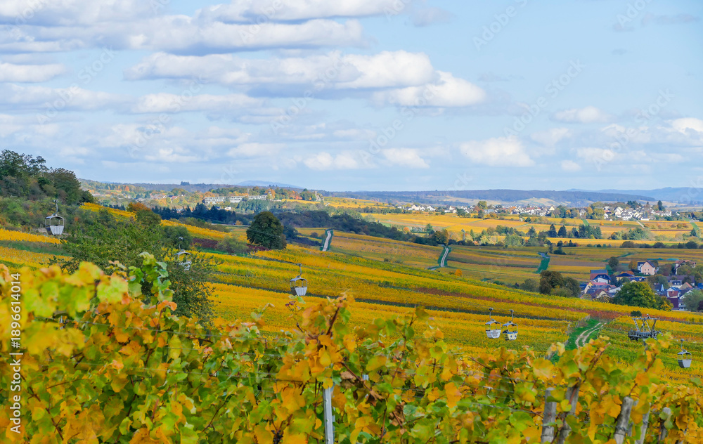 custom made wallpaper toronto digitalRheinland bei Rüdesheim am Rhein im Herbst