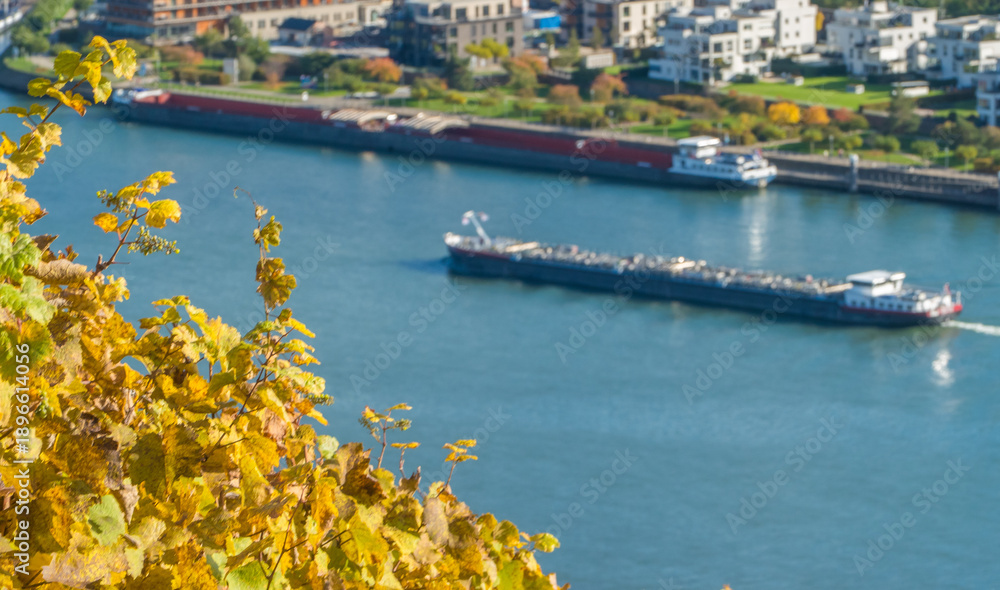 custom made wallpaper toronto digitalFrachter auf Rhein im Herbst Deutschland