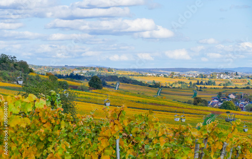 Wallpaper Mural Rheinland bei Rüdesheim am Rhein im Herbst Torontodigital.ca