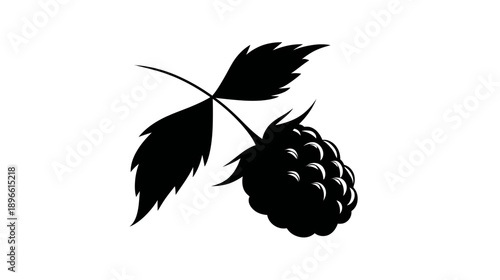 A simple, black-and-white illustration of a single berry with leaves and a stem