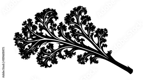 Silhouetted image of a leafy green vegetable branch with detailed, curling, dark shapes