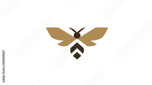 A geometric illustration of an insect with wings and body, using shades of brown