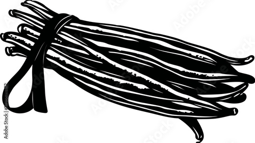 A bundle of elongated pods tied with a ribbon, a monochromatic illustration