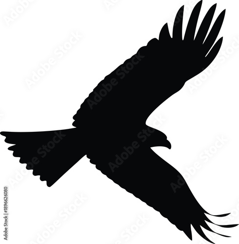 Soaring Raptor Silhouette: Powerful Bird Of Prey Flight