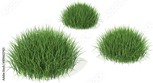 Three tufts of lush green grass arranged together in a visually appealing composition from a top-down viewpoint