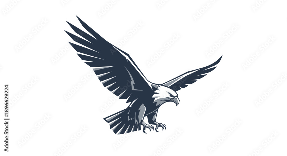 Obraz premium Bald Eagle Flying with Spread Wings.