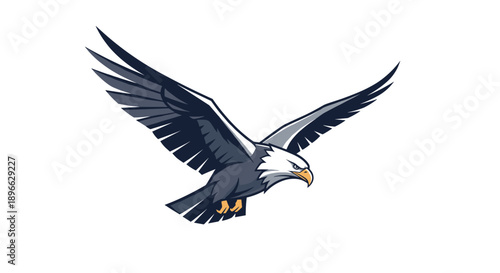 Bald Eagle Soaring Through the Air.