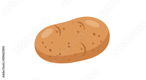 Illustration of a single potato tuber 1.