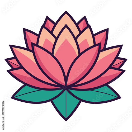 Colorful Pink Lotus Flower Illustration with Green Leaves