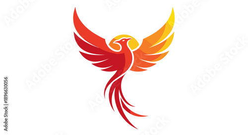 Red and Orange Phoenix Rising Illustration.
