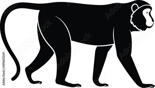 Monkey Silhouette Vector Illustration Wildlife Animal Design