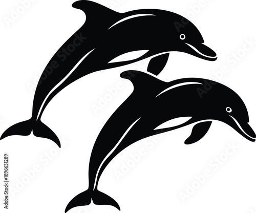 Dolphin Illustration Leaping Marine Wildlife Vector Artwork