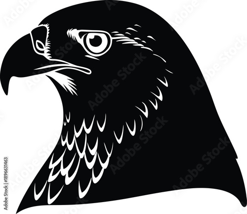 Falcon Head Illustration Wildlife Design Graphic Element Vector