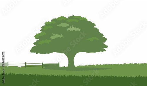 Lone green tree vector illustration with fence and grass in minimalist silhouette landscape style