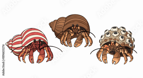 Illustration showcasing three distinct hermit crabs each residing in a uniquely adorned seashell home