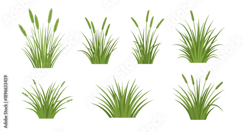 Collection of six different illustrated green grass clumps featuring various flowering heads and densities