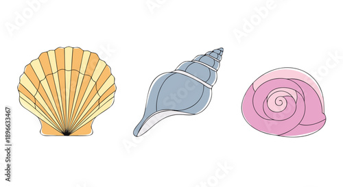 Colorful illustration set featuring a scallop shell a spiral whelk and a pink sea snail