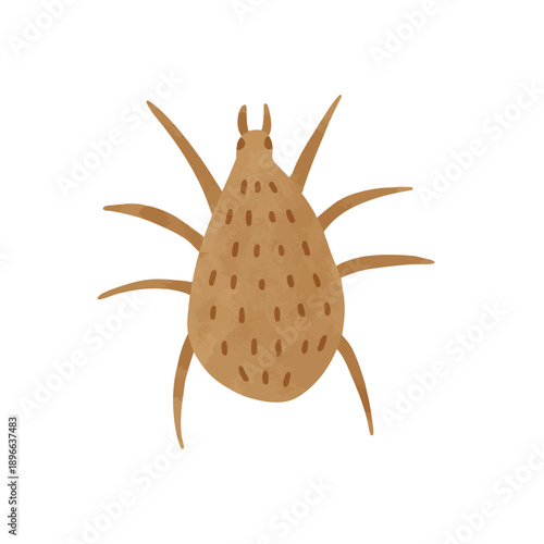 ダニ　水彩風ベクター手描きイラスト