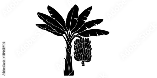 Minimalist black banana tree with fruit bunch silhouette vector icon

