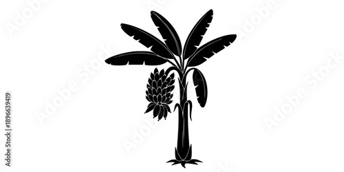 Minimalist black banana tree with fruit bunch silhouette vector icon

