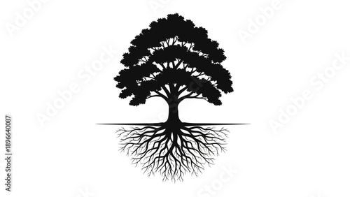 Silhouette of a majestic tree with intricate root system against a white background.