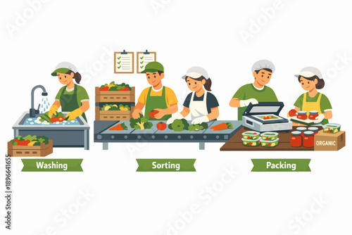 Food production process with workers washing, sorting, and packing fresh vegetables