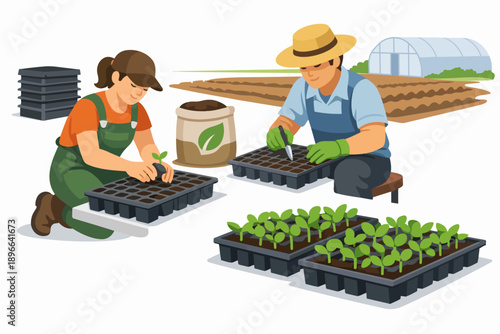 Farmers planting seedlings in trays, growing organic plants for sustainable agriculture
