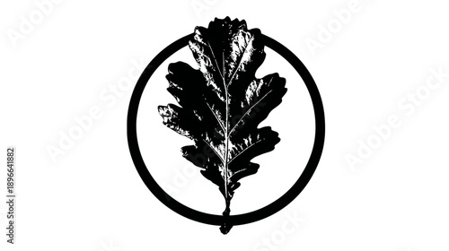 A stark black oak leaf, detailed veins, within a thick circle, set against a pristine white background