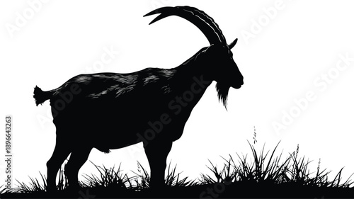 Majestic Black Goat Silhouette on White Background Vector - Stunning Wildlife Illustration