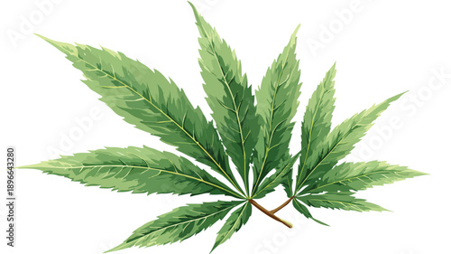Colorful Cartoon Style Vector Illustration of Marijuana Leaf for Creative Designs