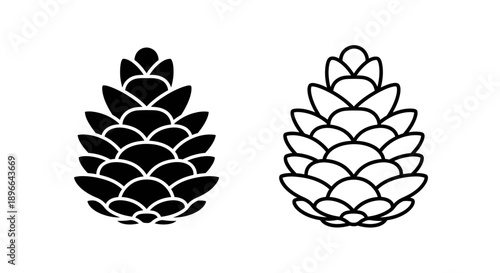 Pinecone illustration black white nature Vector