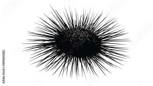 Stylish Sea Urchin Black Silhouette Vector Art and Illustration