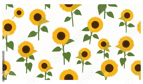 Seamless Sunflower Field Pattern Vector Illustration in Flat Design on White Background