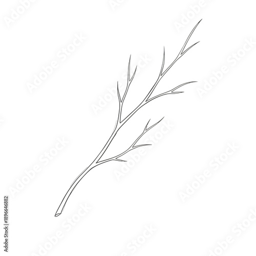 Minimalist line drawing of a delicate branch with sparse twigs