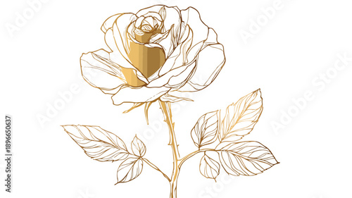 Elegant Golden Rose Design Concept Vector with Outline on White Background