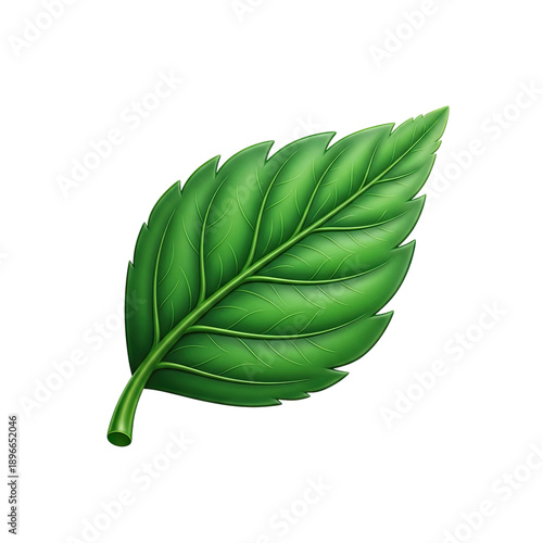 Realistic green leaf with detailed veins on a soft green background with subtle light and shadow