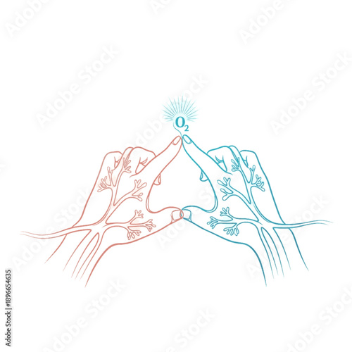 Hands with red arteries and blue veins connecting. Vector illustration of oxygen exchange O2 symbol. Medical circulation concept isolated on white.