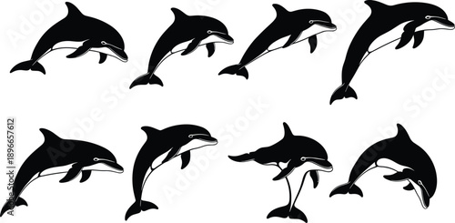 Dolphin silhouette set showing jumping and swimming poses, isolated on white background, flat vector illustration for marine life, ocean wildlife, logos, icons, educational design use
