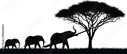 “Silhouette illustration of elephants walking across African savanna landscape beneath acacia tree, wildlife safari scene emphasizing nature, adventure, conservation, and natural habitat details”