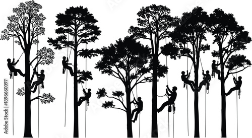 “Silhouette illustration of professional arborists climbing tall forest trees using ropes and safety gear for pruning, maintenance, training, teamwork, and outdoor adventure”