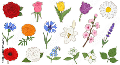 A vibrant collection of various colorful flowers and blossoms, presented in a flat, illustrative style.