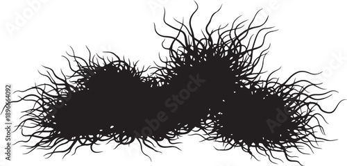 Black bacteria cells with many flagella on white background