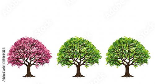 tree with green leaves vector