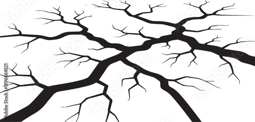 Black tree branches on white background minimalist illustration design