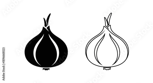 Black and white onion illustration Vector